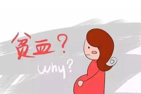 孕期贫血有危害，准妈妈该怎么补？