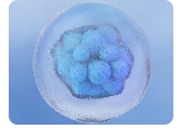 患有霉菌性阴炎做试管婴儿的费用包括哪些项目？