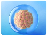检查精子应该去医院哪个科室？注意事项是什么？
