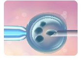 胚胎三倍体是母体染色体异常导致的吗？对孩子有影响吗？